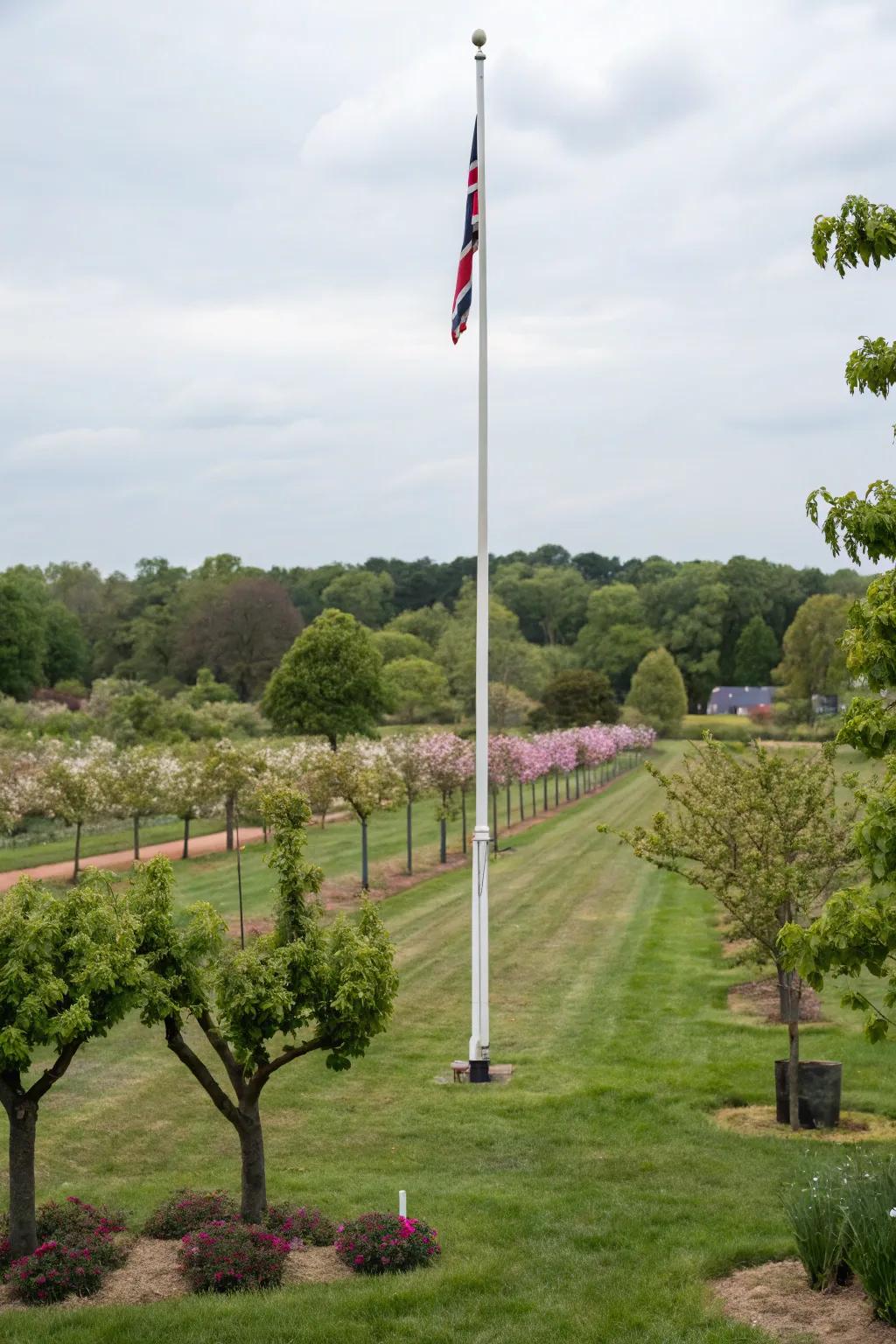 Mini orchards deliver fresh fruit and visual appeal.