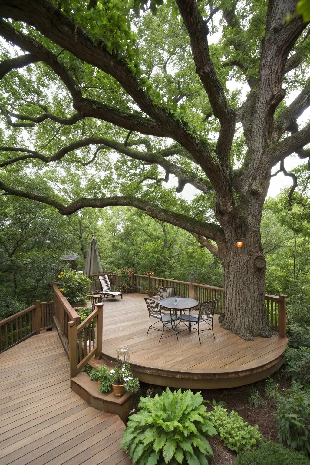 A tree is incorporated into a living area via a deck or patio.