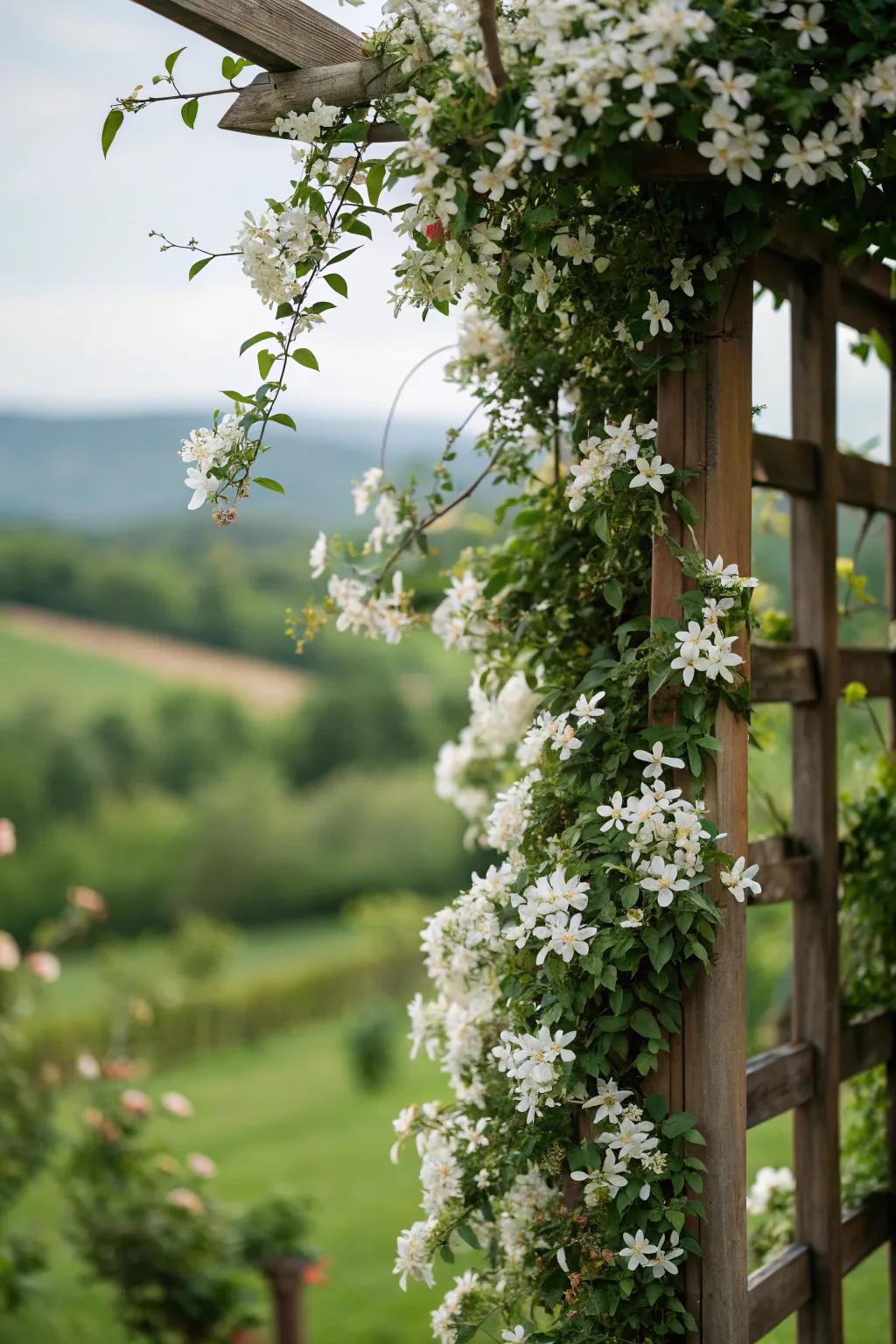 Celebrate the epochs with a starflower and efflorescence support.