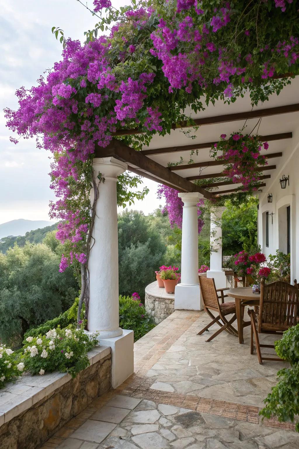 Bougainvillea crafting a vibrant, blossoming covering over the porch.