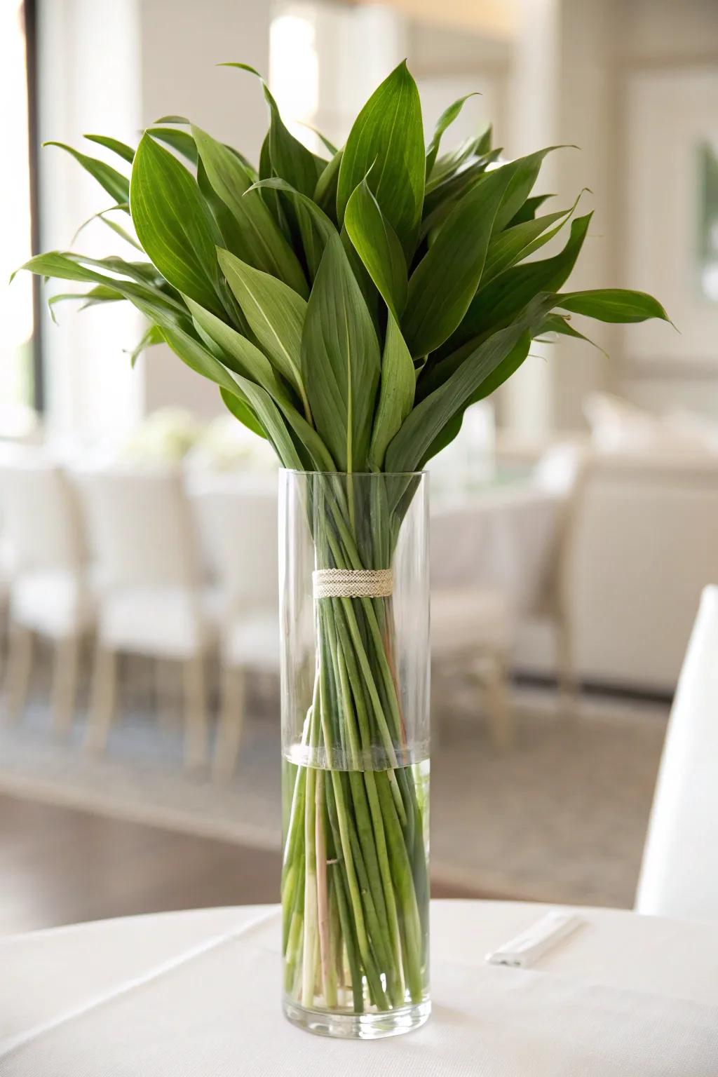A tall glass vase featuring Aspidistra foliage, sustaining emphasis upon the blooms through a polished aesthetic.