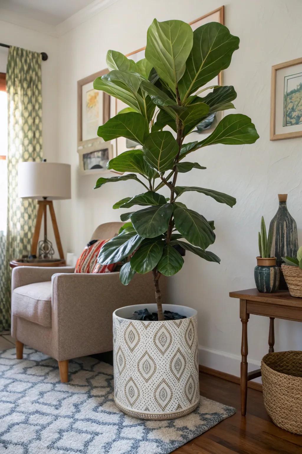 A statement plant fills a corner with life, turning it into a vibrant visual anchor.