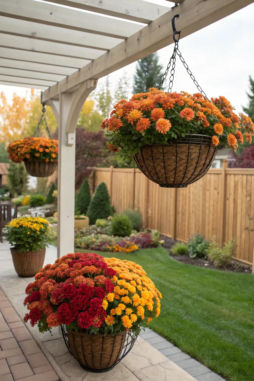 Elegant hanging baskets with vibrant mums