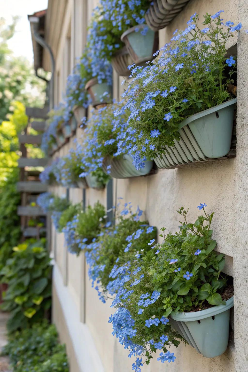 Elevated greenery holders showcase forget-me-nots in new ways.