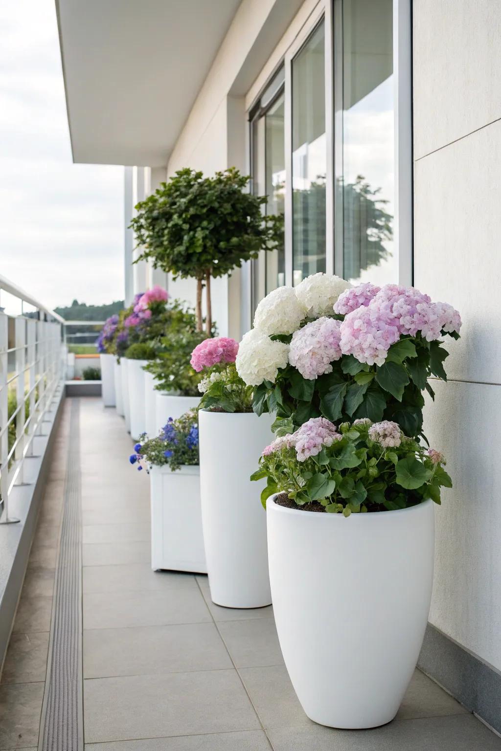 Elegant white containers highlighting hydrangeas on a minimalist patio.