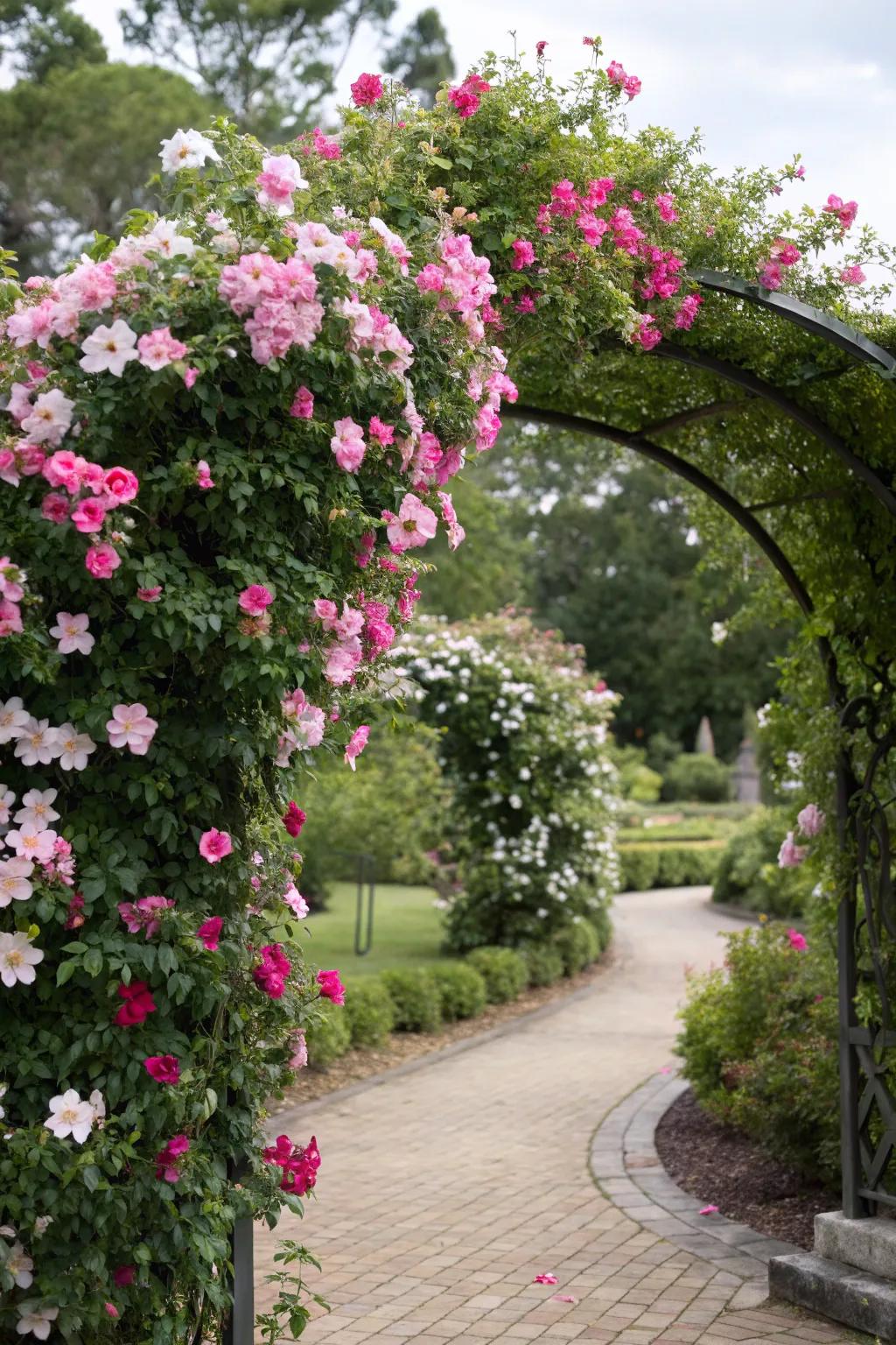 An archway trellis boasting mandevilla flowers fabricates an affable and spirited landscape vestibule.