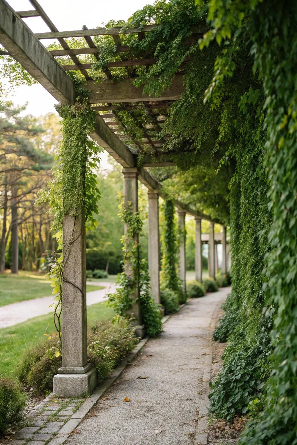 A framework showcasing a sky garden provides a revitalizing touch of green to compact patios.