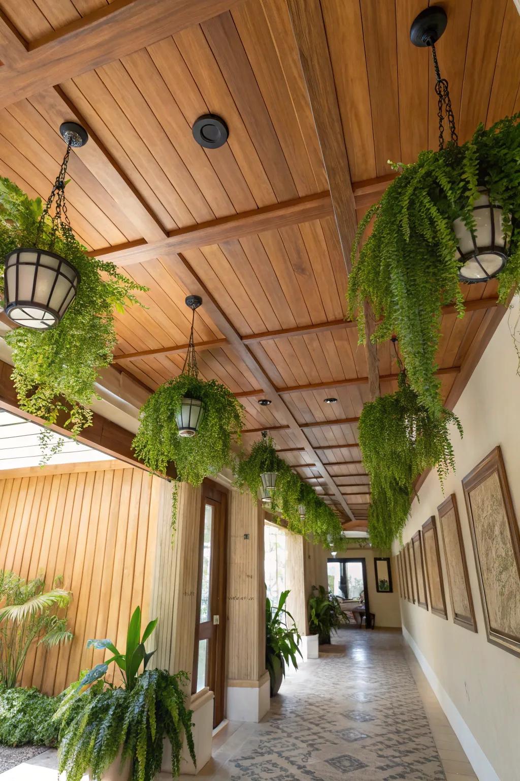 Nature-inspired ceiling, fostering a serene spa atmosphere.
