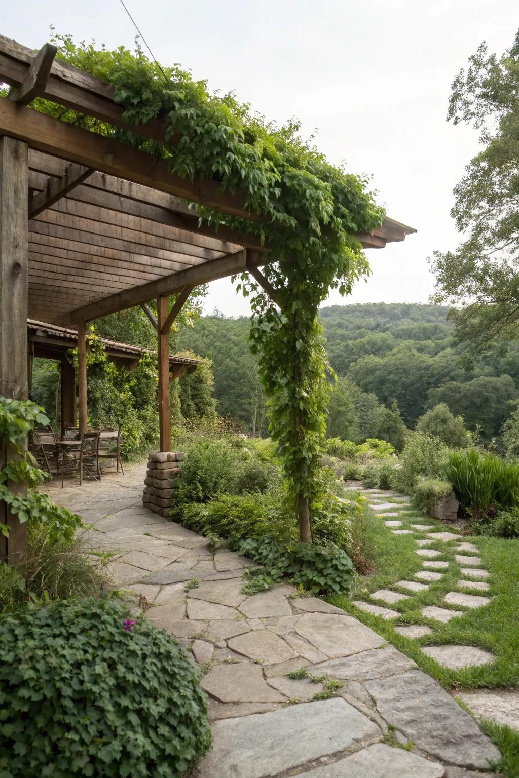 A timber patio nestled within a flourishing garden landscape.