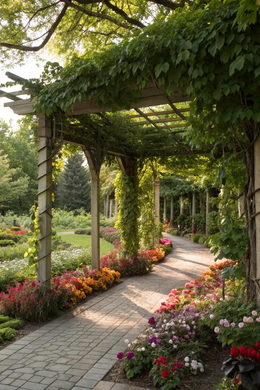 A pergola adorned with climbing vines in a lively garden.
