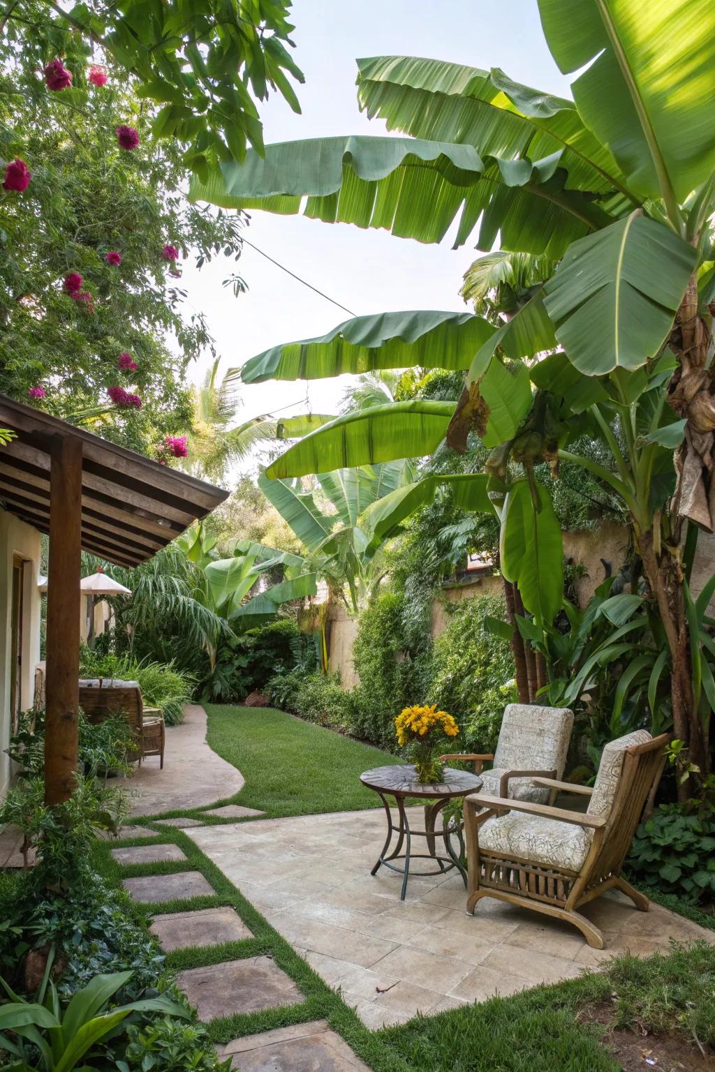 Elevate your patio with the exotic allure of 'nana' plants.