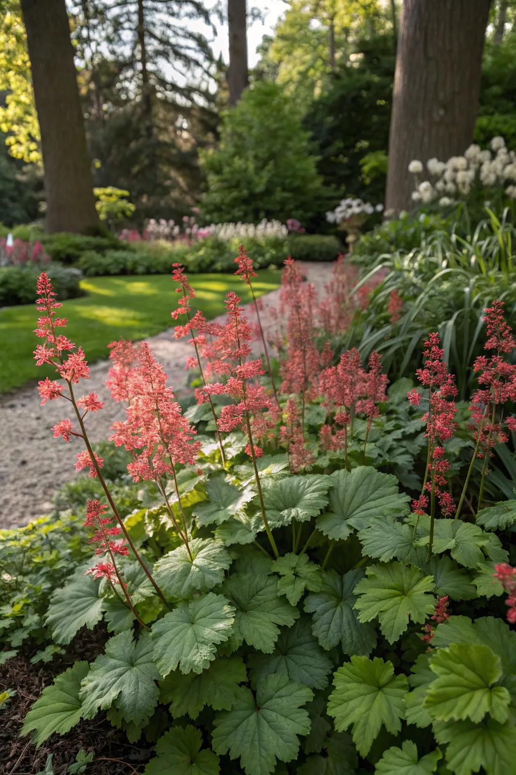 <strong><em>Kaleidoscope bells</em></strong> infuse color and vitality into a shaded garden hideaway.” loading=”lazy” class=”pimg”>
	</picture><figcaption><strong><em>Kaleidoscope bells</em></strong> infuse color and vitality into a shaded garden hideaway.</figcaption></figure>
<p>Revolutionize the shady sections of your garden with <strong><em>kaleidoscope bells</em></strong>. Their bright leaves flourish remarkably well, even where sunlight is minimal.</p>
<h3>You might like:</h3>
<ul class=