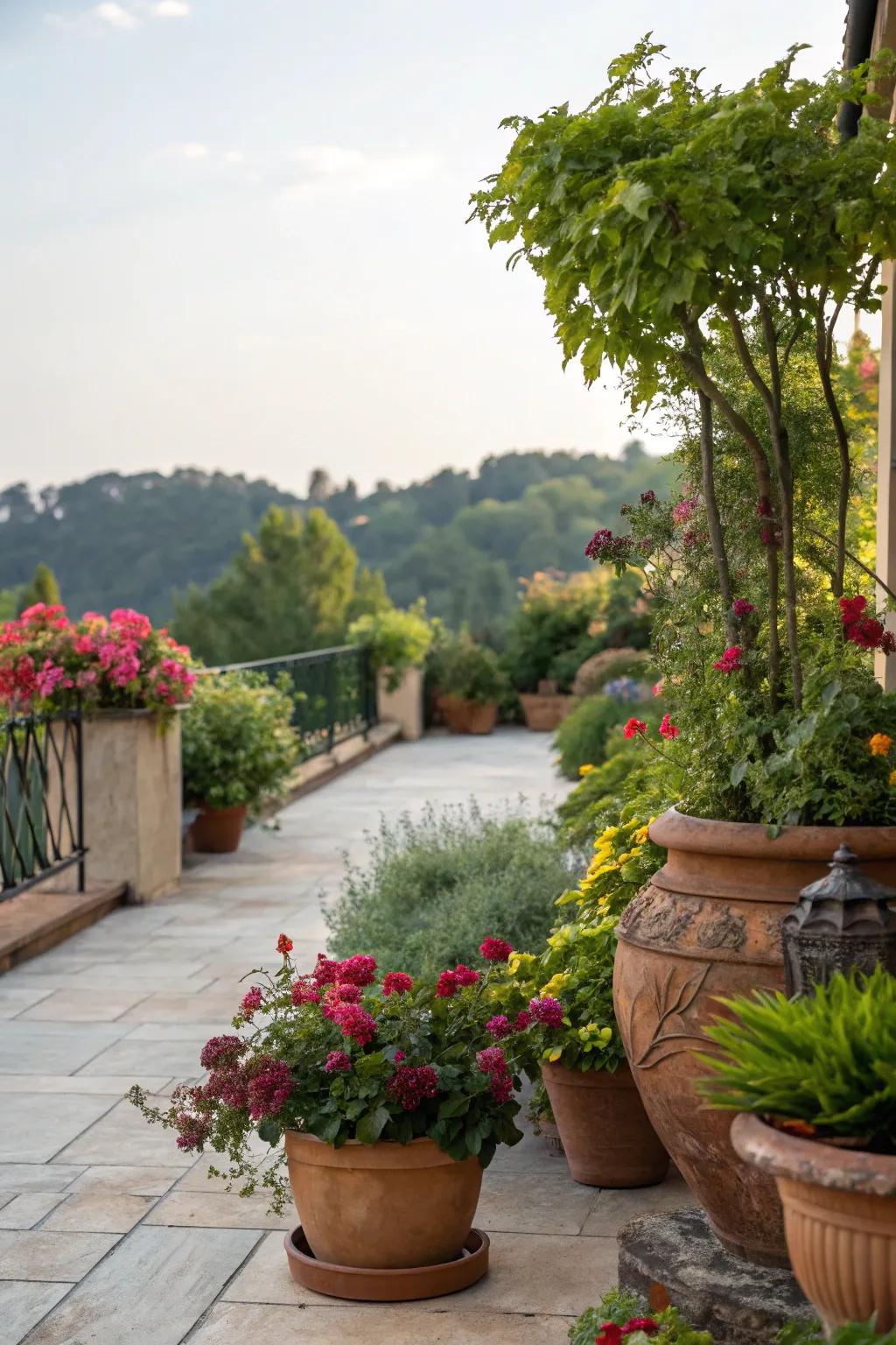 Greenery imbues your outdoor oasis with a natural essence.