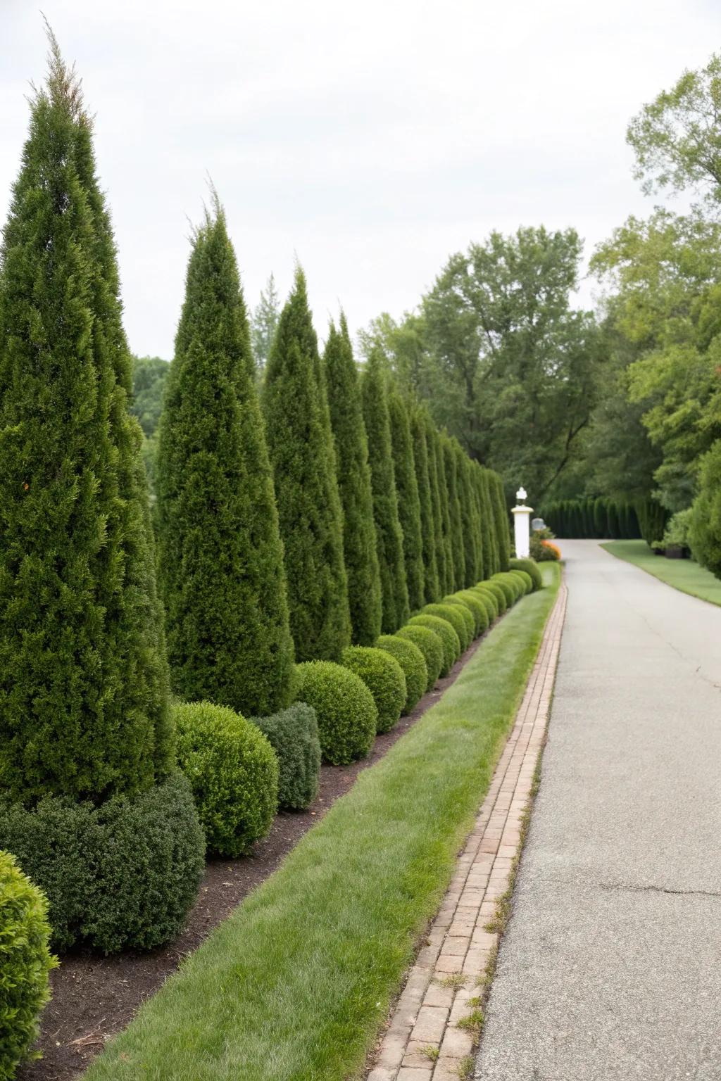Perennial greenery delivers constant foliage and structural depth.
