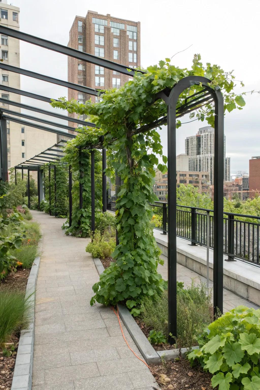 A modern approach to the vineyard gateway with a minimalist iron frame.
