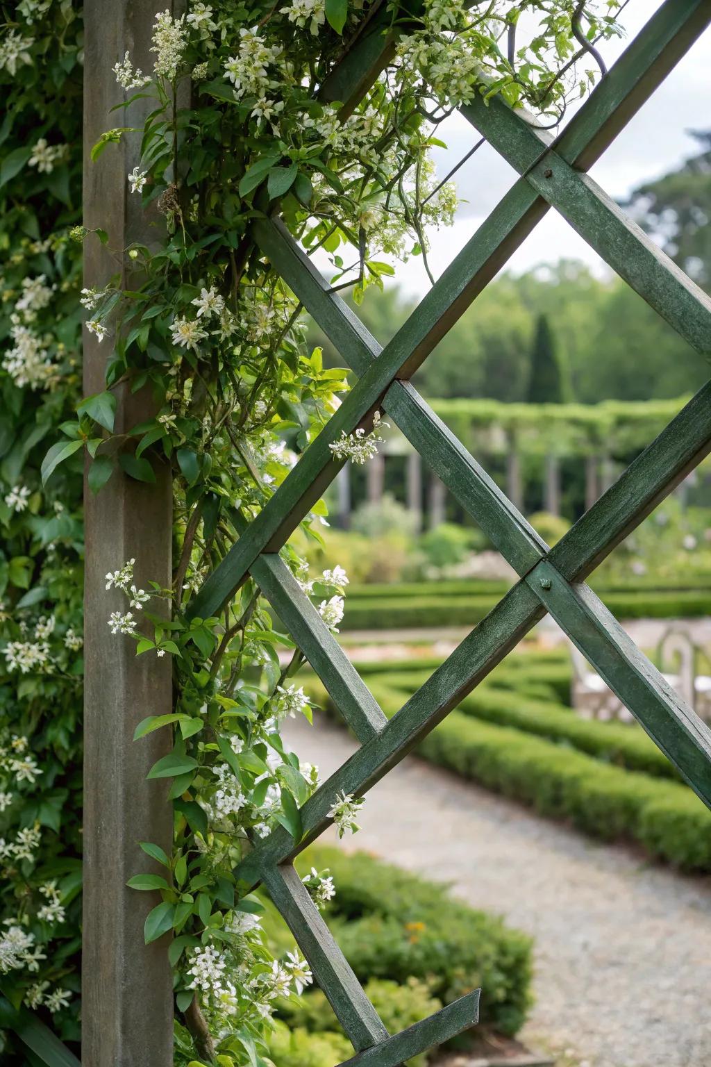 Unleash your imagination with patterned starflower arrangements.