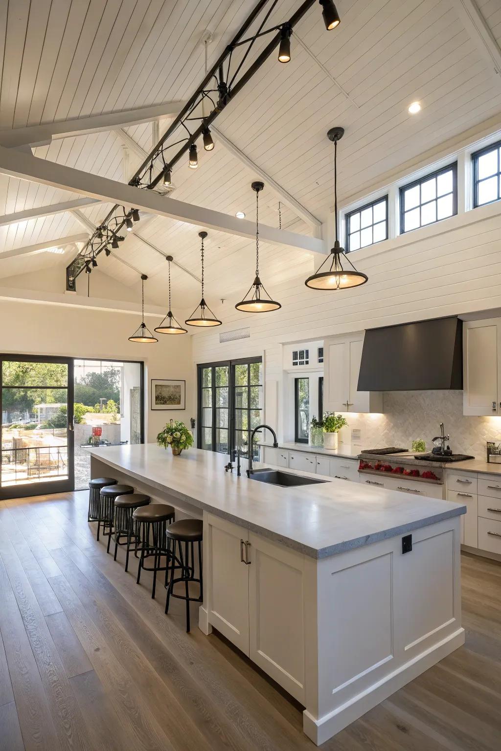 Overhead rail lighting ensures a luminous and practical kitchen.