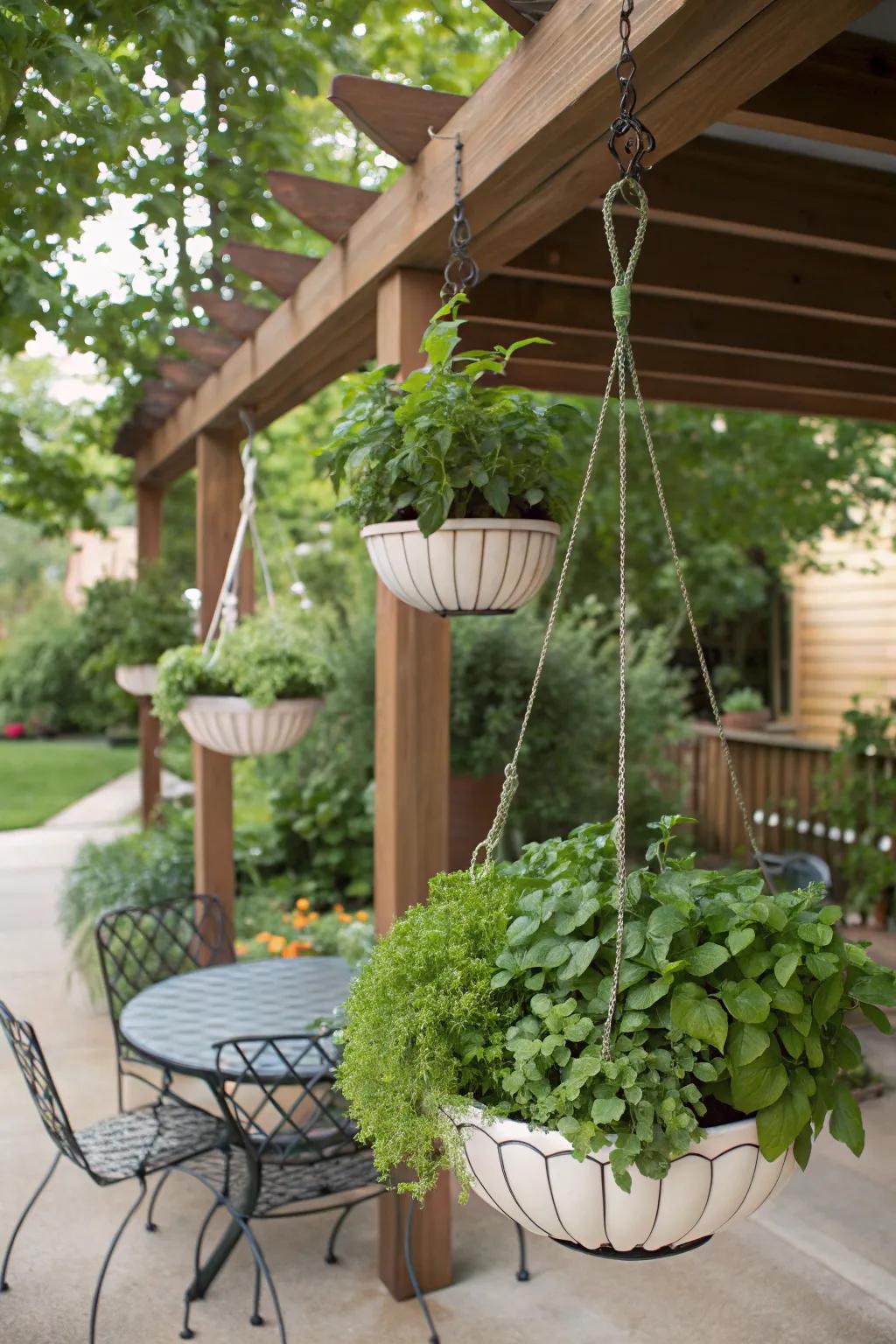 Herbs at eye-level with hanging planters.