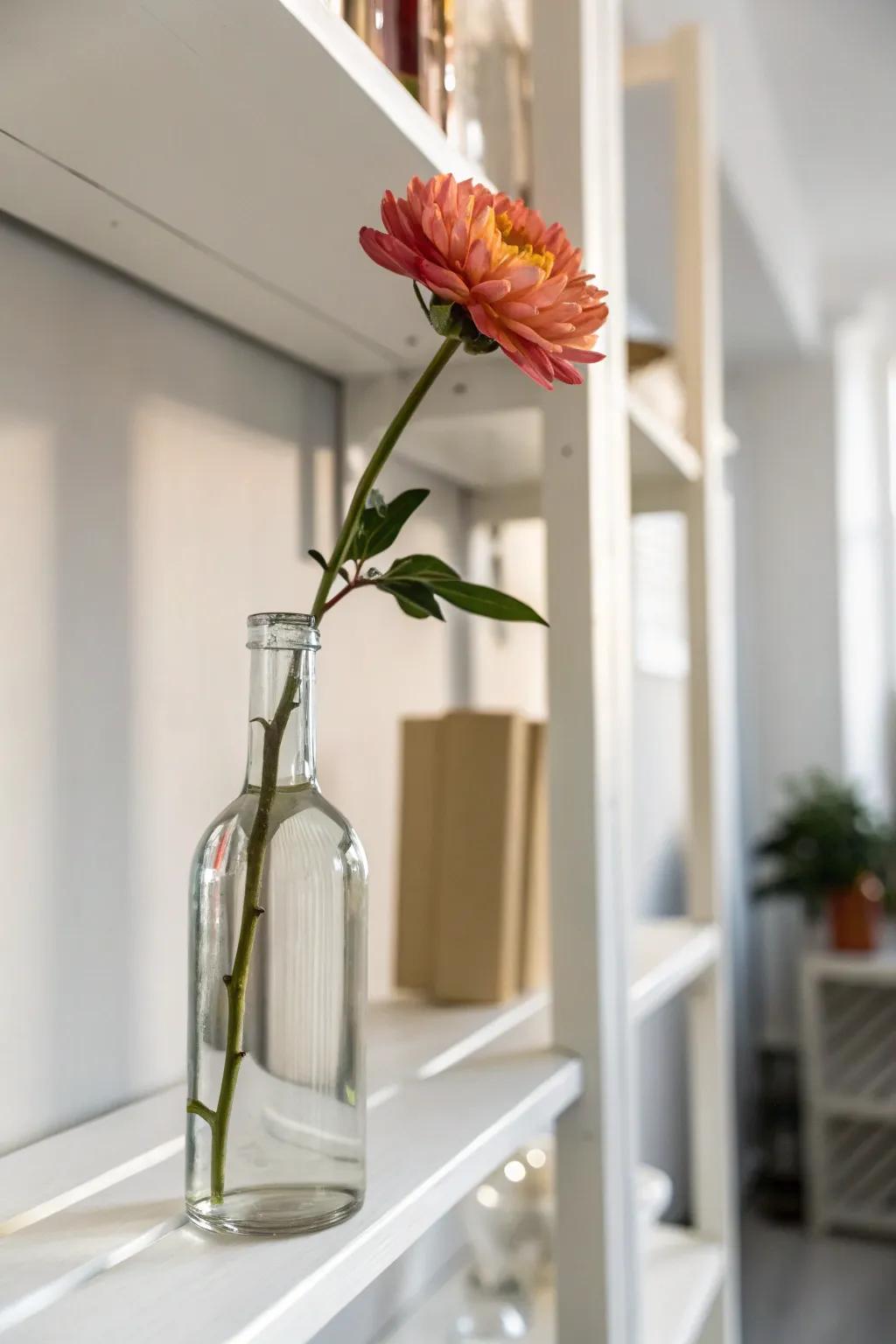 A single stalk in a wine bottle generates a minimalist statement.