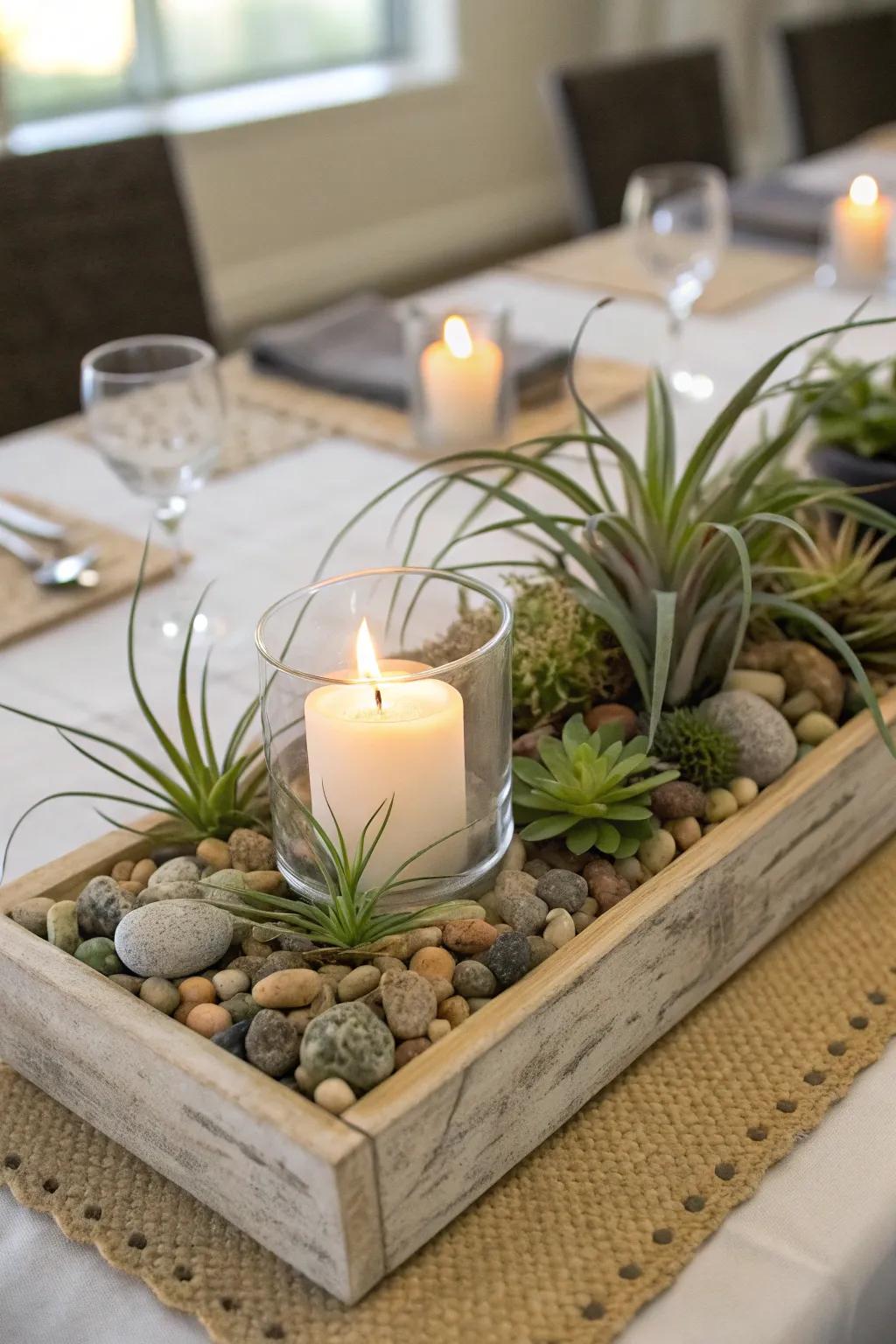 An artful tabletop presentation uniting air plants with decorative additions.