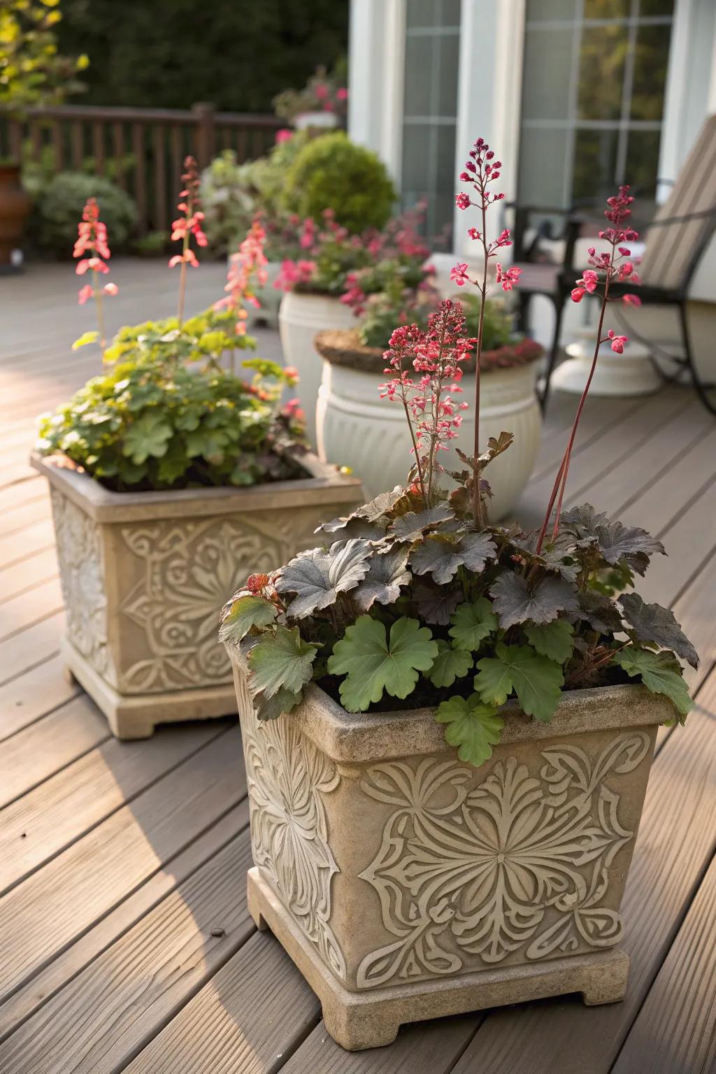 <strong><em>Kaleidoscope bells</em></strong> in containers introduce lively colors to a deck area.” loading=”lazy” class=”pimg”>
	</picture><figcaption><strong><em>Kaleidoscope bells</em></strong> in containers introduce lively colors to a deck area.</figcaption></figure>
<p>Bring light to your deck or veranda with <strong><em>kaleidoscope bells</em></strong> in decorative pots. Their colorful foliage will certainly make a spectacular impression outdoors.</p>
<h3>Check these products out:</h3>
<ul class=