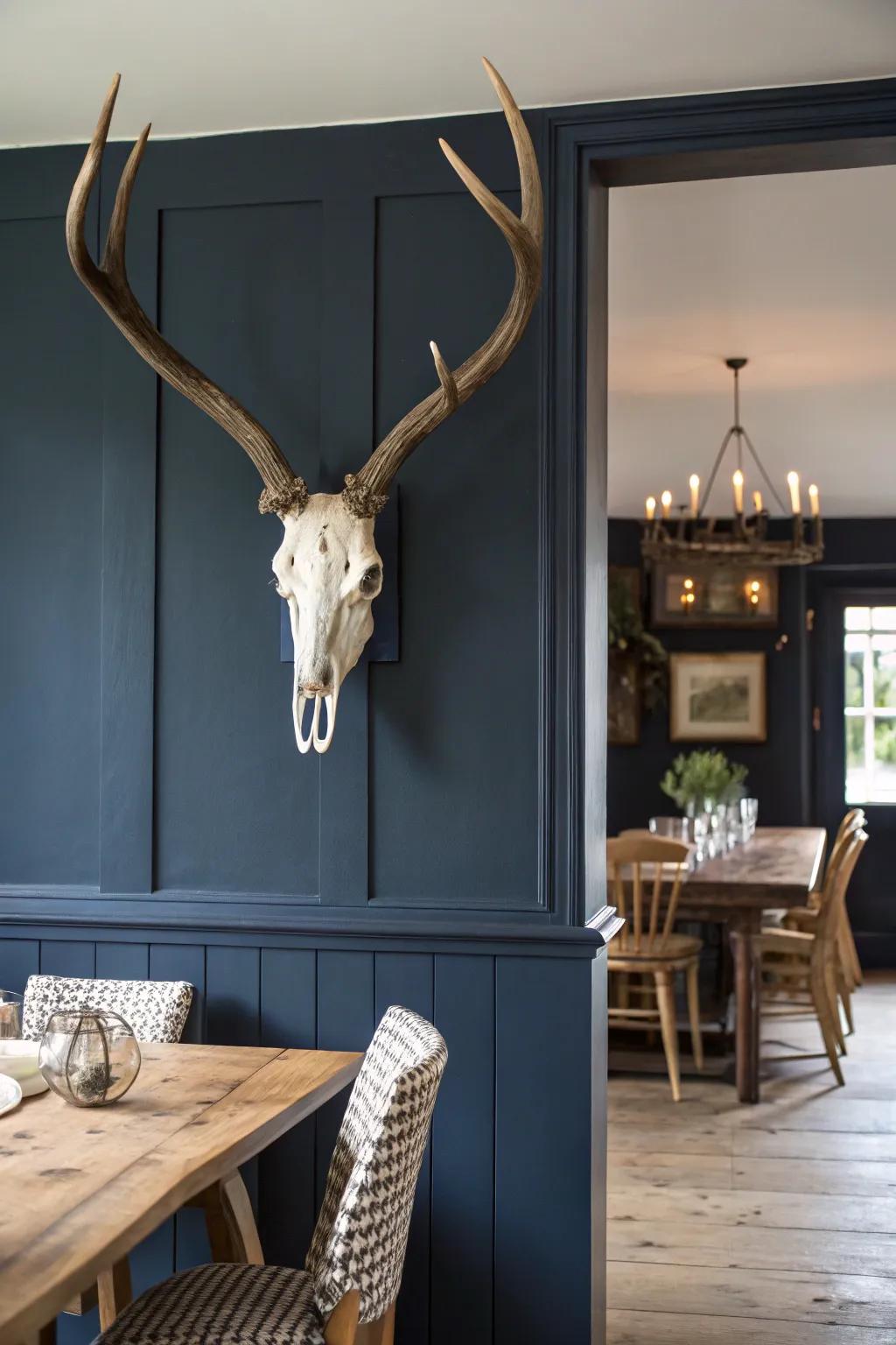 A clashing color foundation makes a deer skull display stand out.