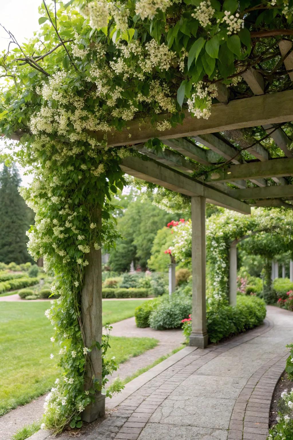 Establish a fragrant haven with starflower-draped shaded walkways.
