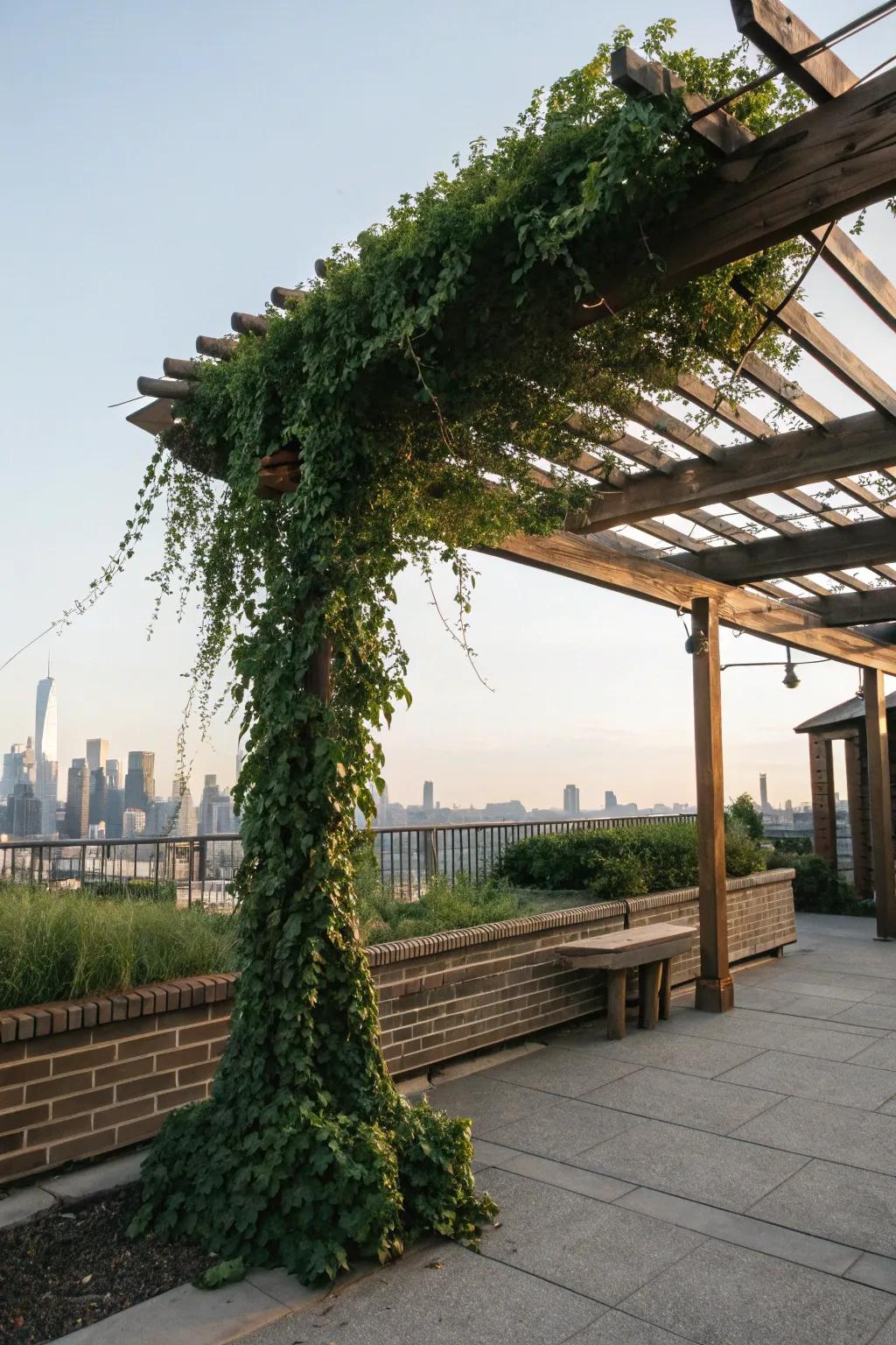 Incorporate elegance and shade via an exquisitely fashioned overhead structure.