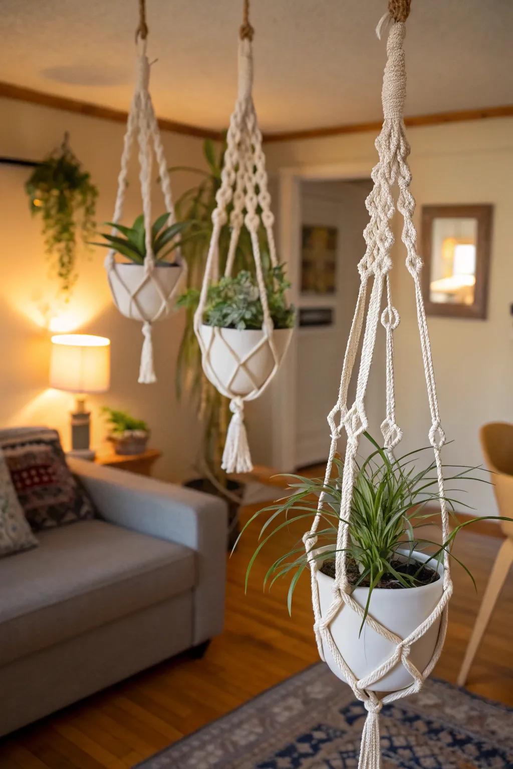 Macrame holders inject a bohemian vibe into air plant displays.