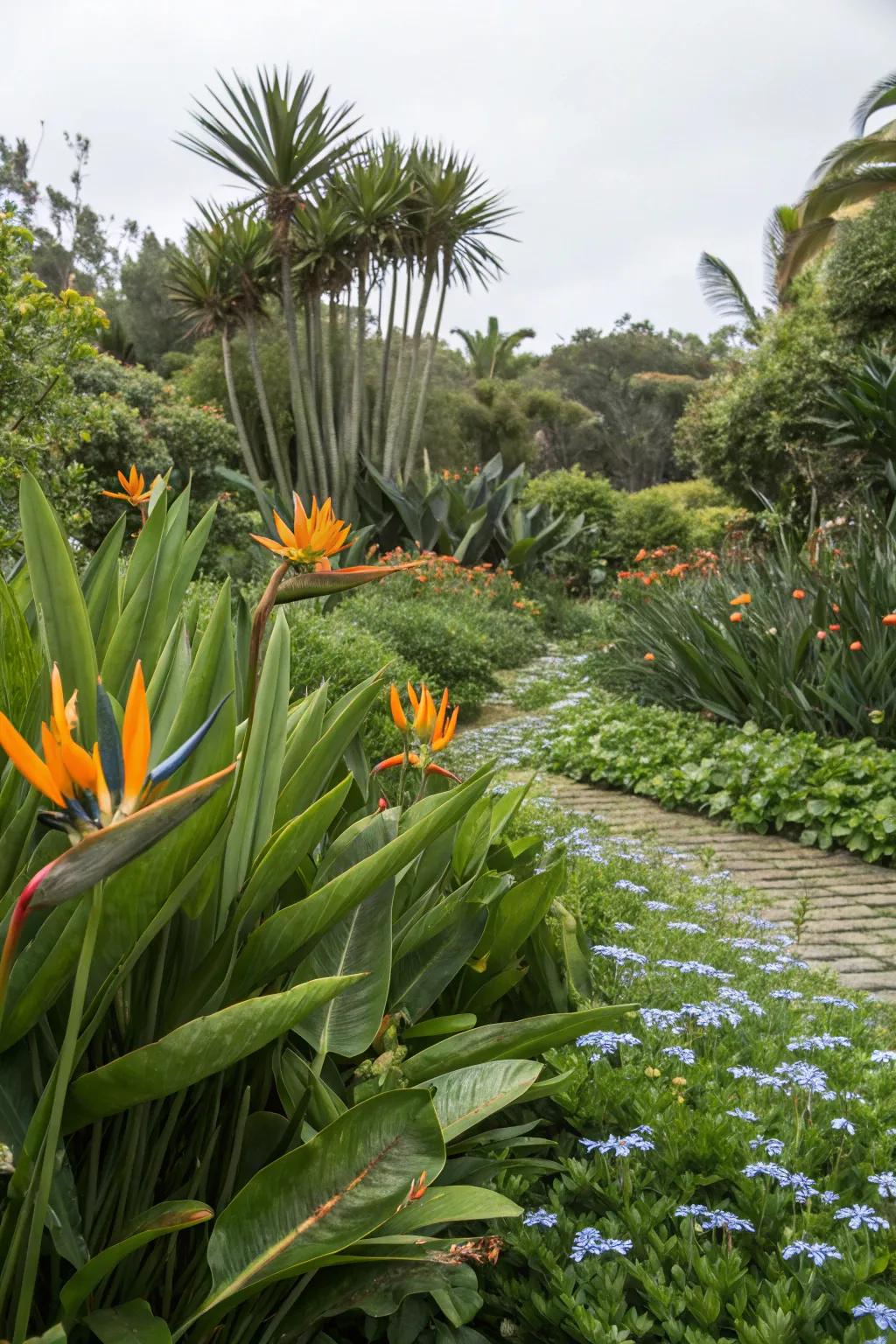 Generate depth with a multilayered garden showcasing Bird of Paradise.