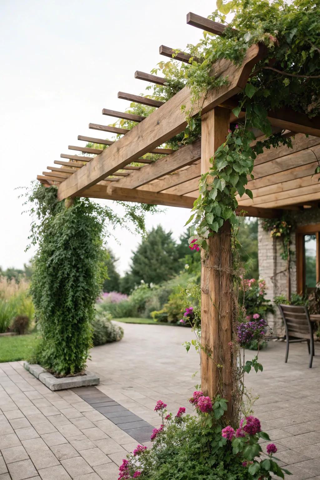 An arbor offers shade and artistic allure.