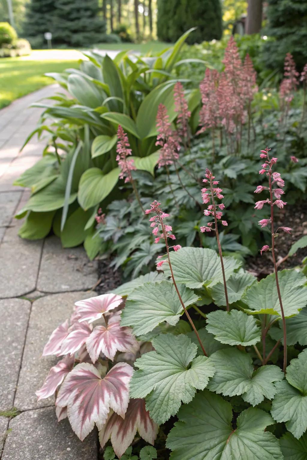 <strong><em>Kaleidoscope bells</em></strong> and hostas establish a stunning visual contrast in any garden setting.” loading=”lazy” class=”pimg”>
	</picture><figcaption><strong><em>Kaleidoscope bells</em></strong> and hostas establish a stunning visual contrast in any garden setting.</figcaption></figure>
<p>Pair <strong><em>kaleidoscope bells</em></strong> with hostas for a striking interplay between leaf shapes and colors. These two plants thrive under similar growing conditions, making them a perfect match.</p>
<h3>Check if these fit your needs:</h3>
<ul class=