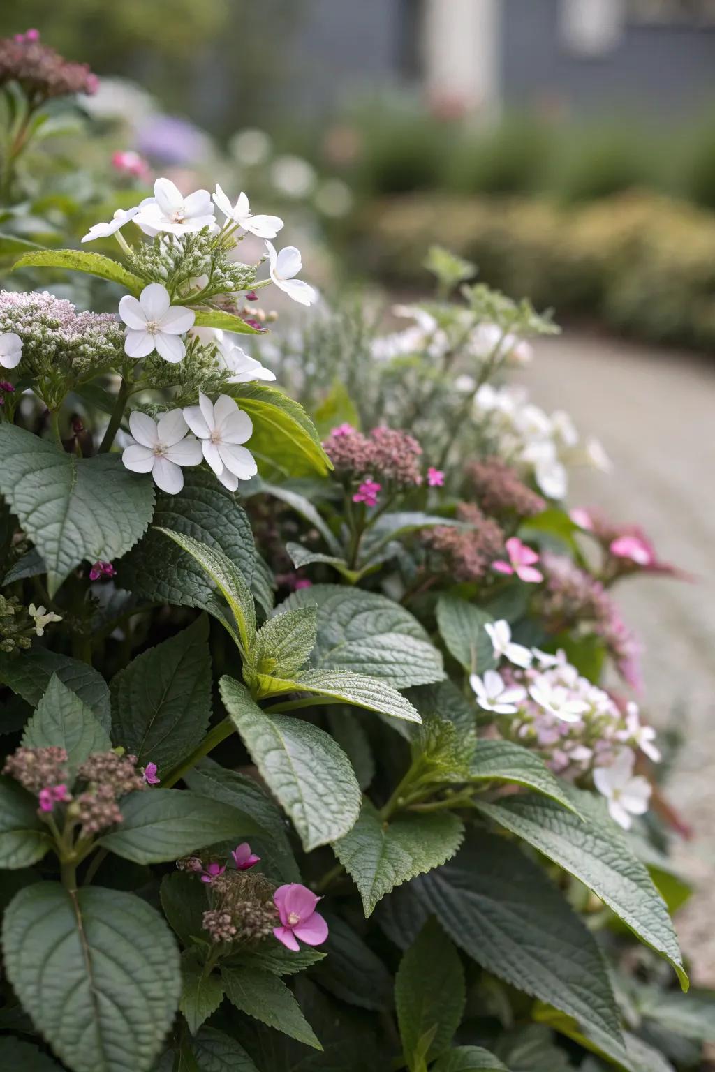 A textured floral border showcasing a blend of broad leaves and delicate blossoms.