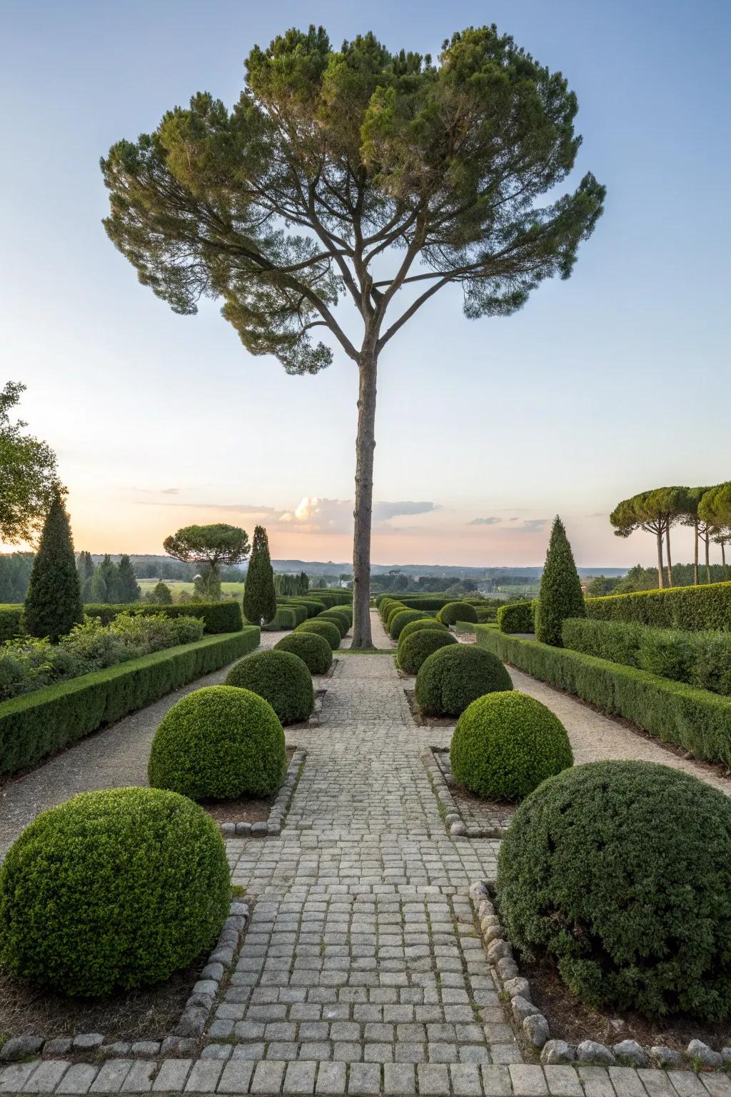 Balanced planting design surrounding a tree for a crisp, sophisticated visual.