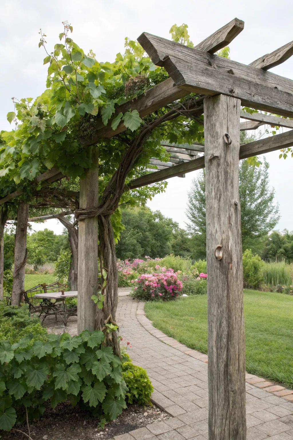 A charming DIY country-style timber gateway brimming with personality.