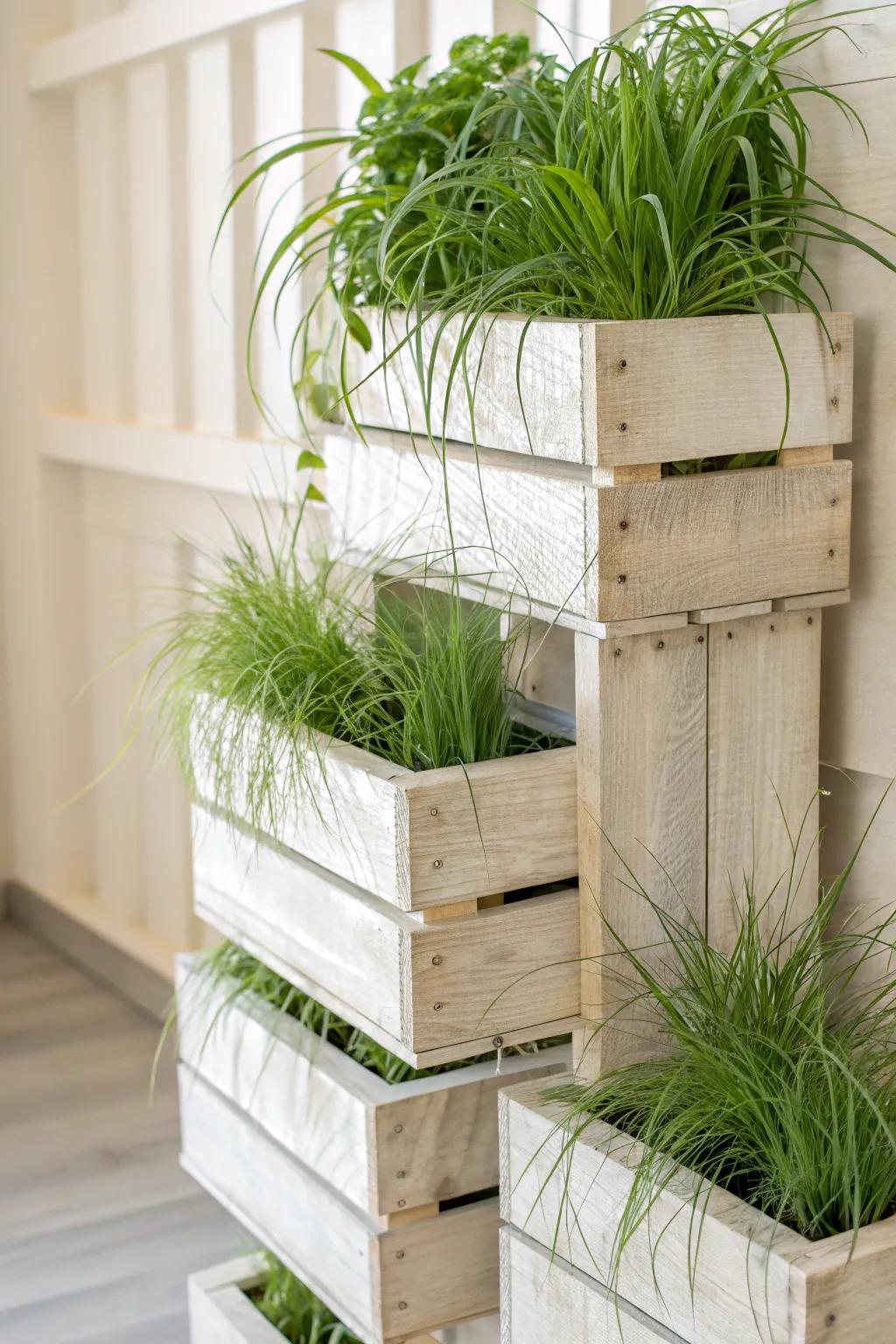 Elevate your space with the simplicity and elegance of a stacked lemon balm garden.