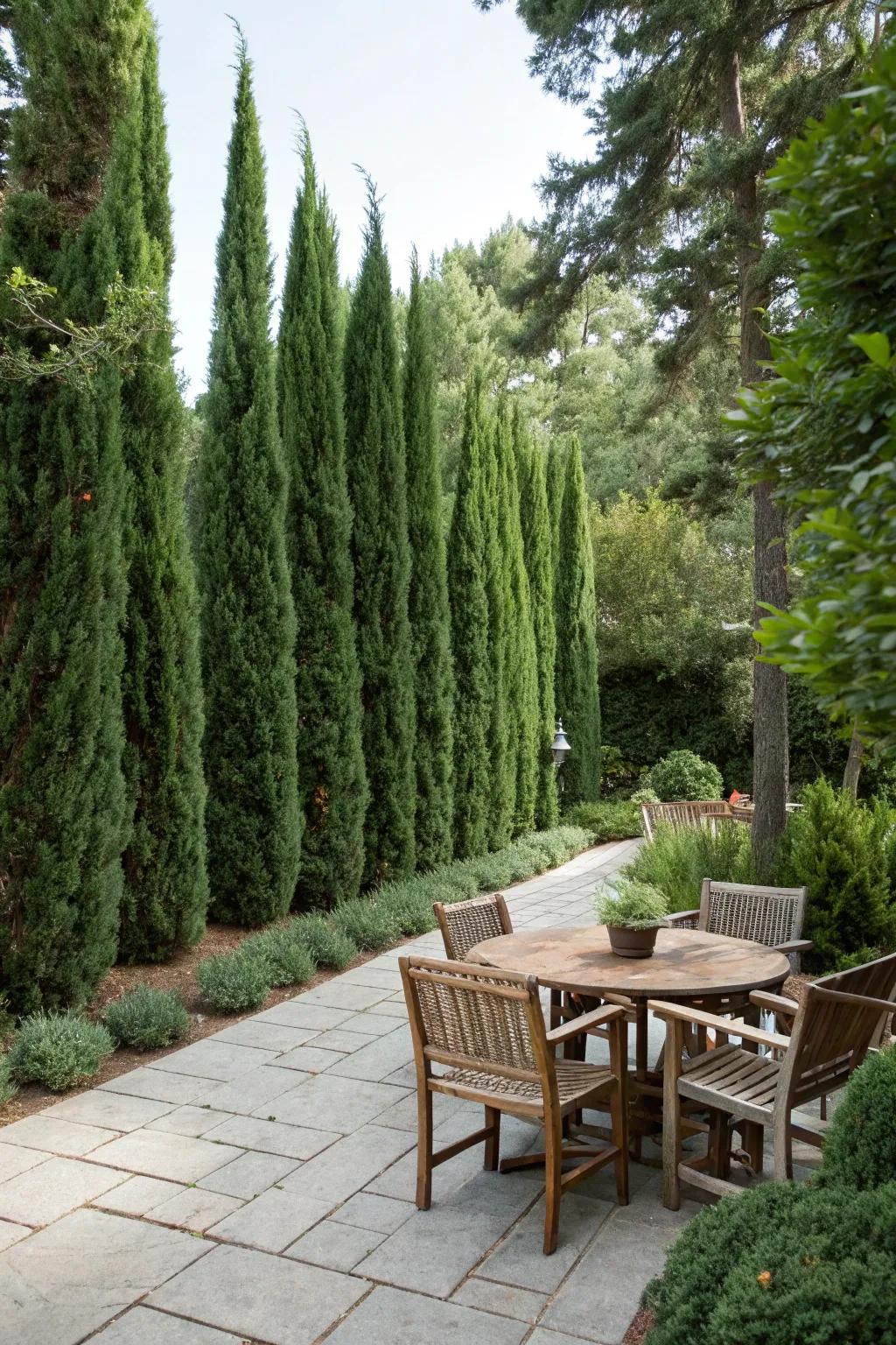 Enhance your patio with Skyline Sentinel for a private outdoor retreat.