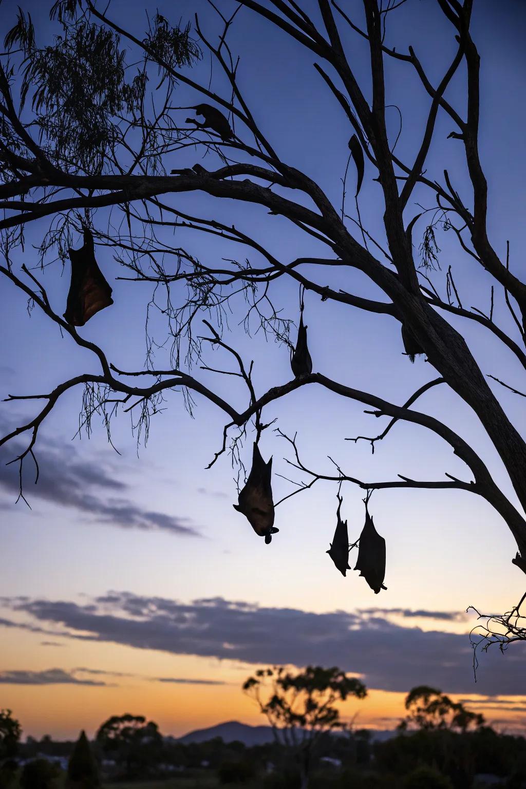 Chiropterans appending a flutter of terror to the All Hallows' Eve night.
