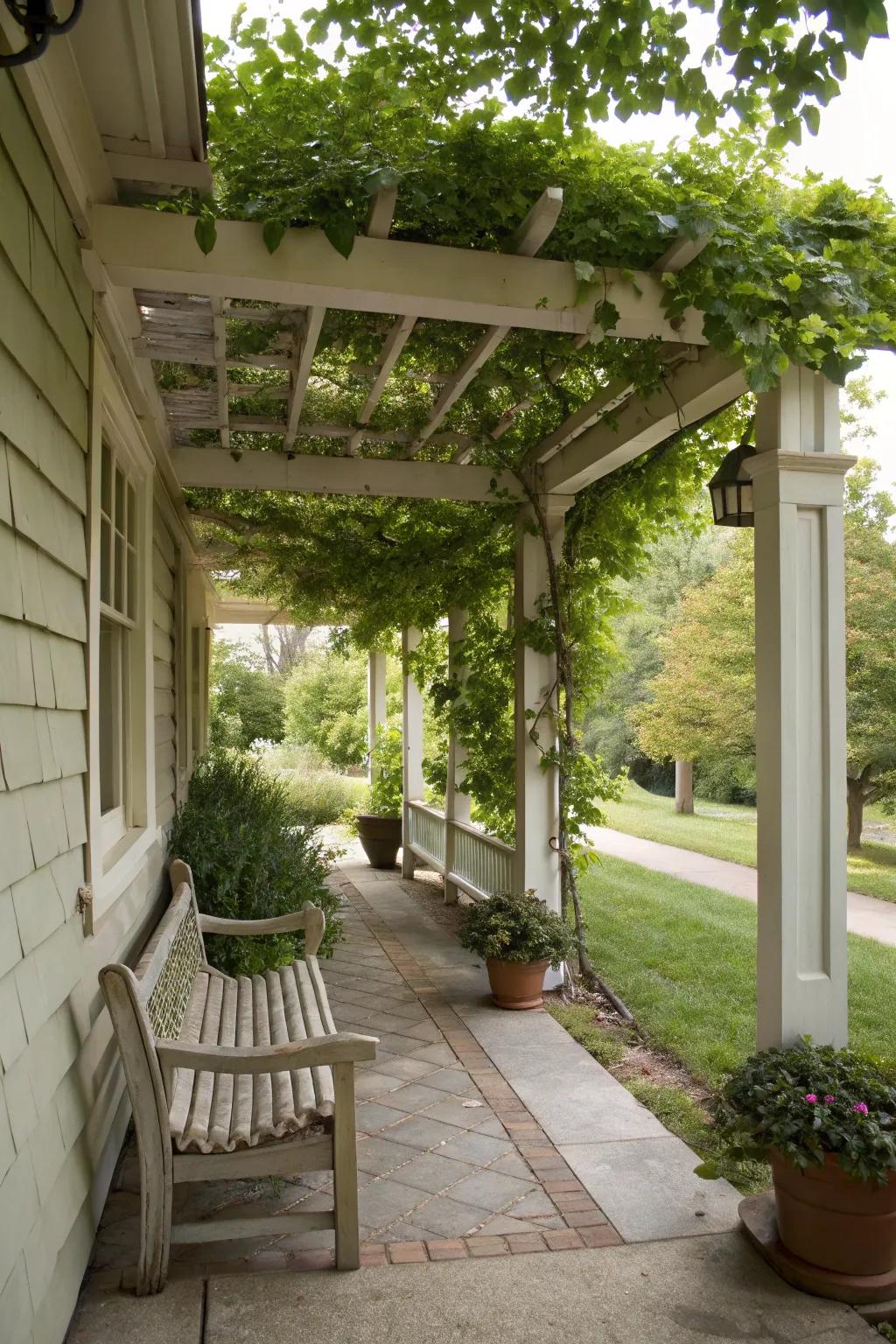 A stylish pergola combining shade and architectural allure.