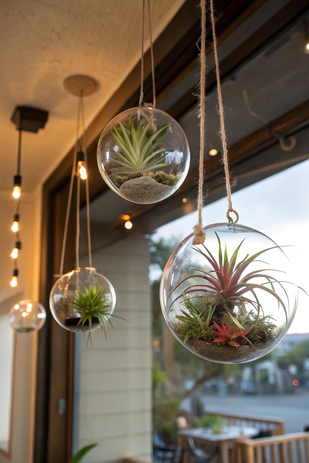 A delightful suspended garden highlighted by hovering glass orbs.