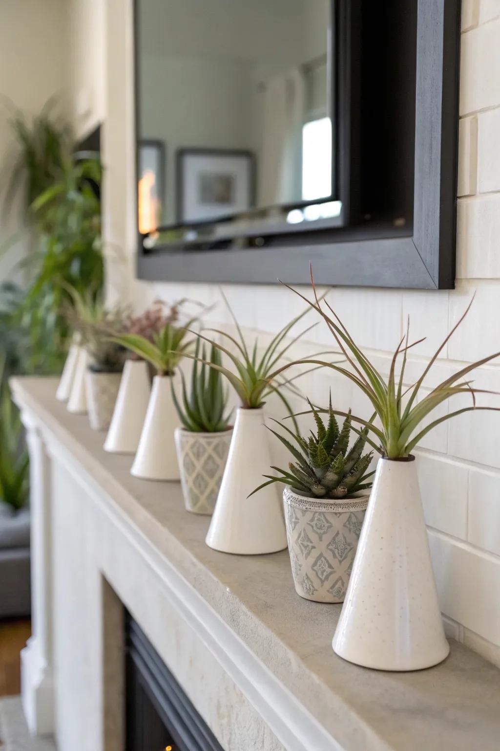 Ceramic cones render a clean and modern display for air plants.