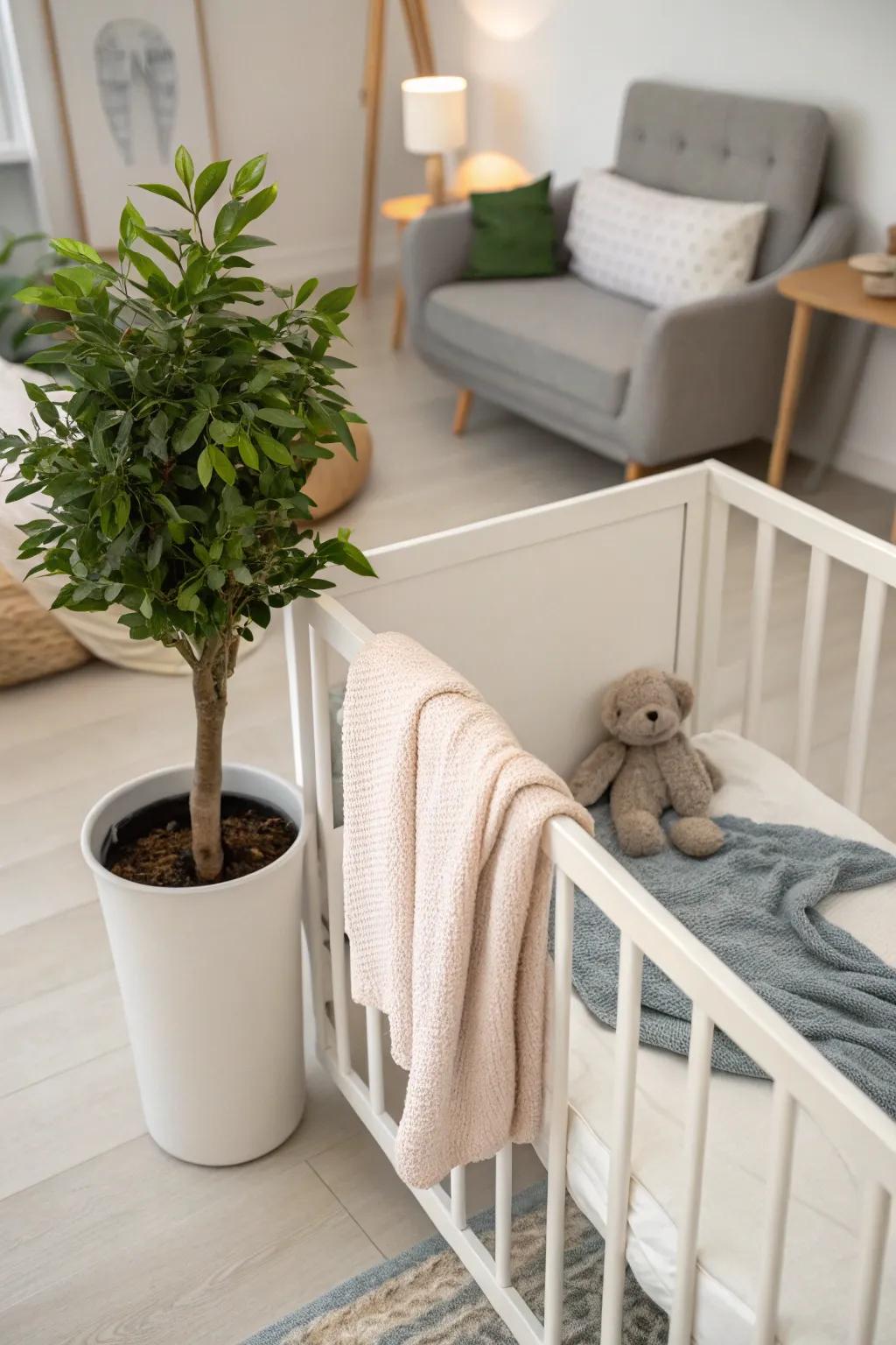 A touch of plants can energize your baby area, adding natural beauty and calm.