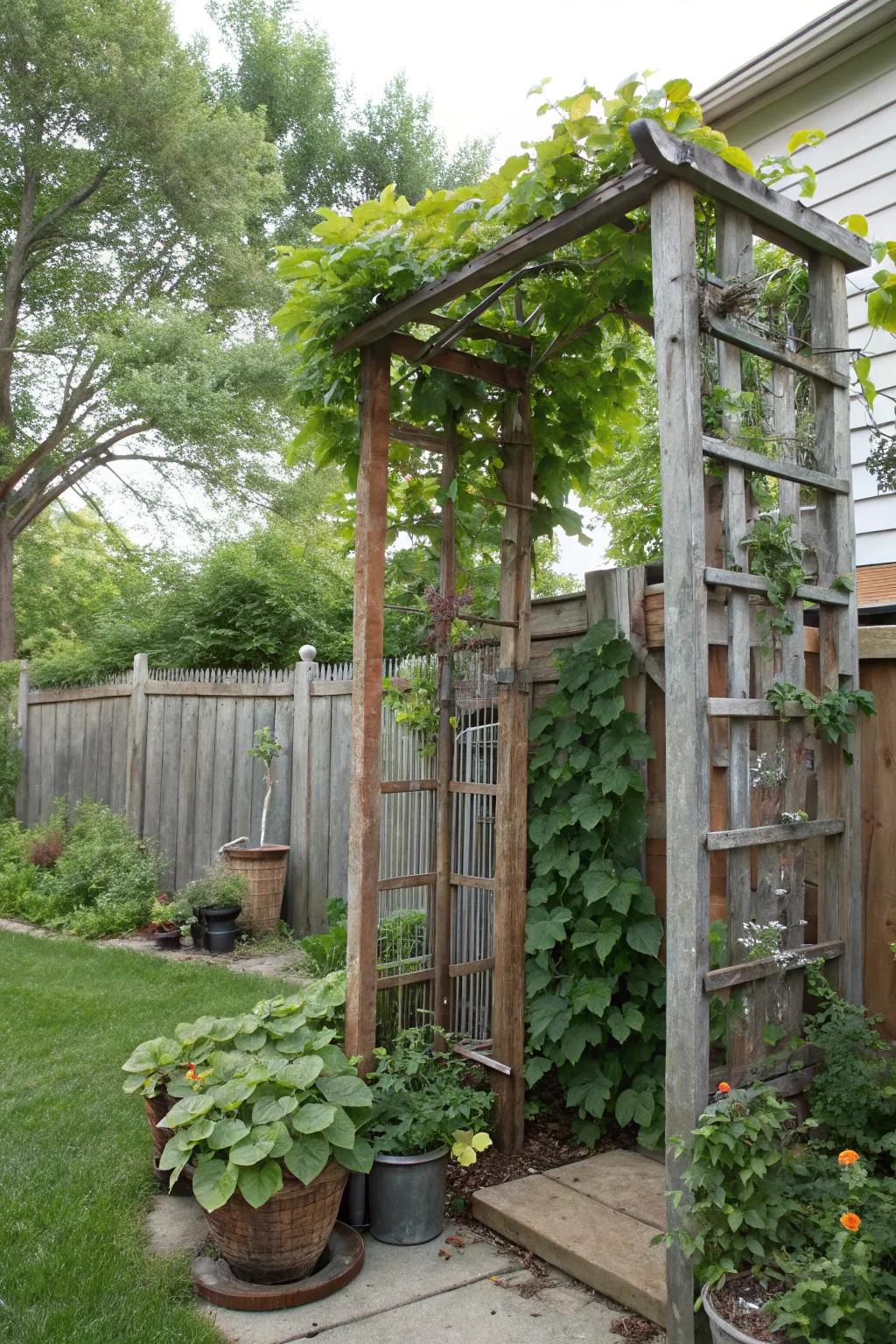 Reclaimed material frameworks add character and privacy.