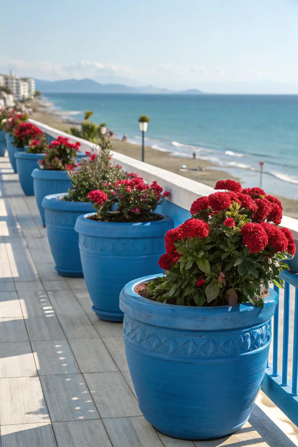 The warmth of cock's comb is given a seaside sense by azure containers.