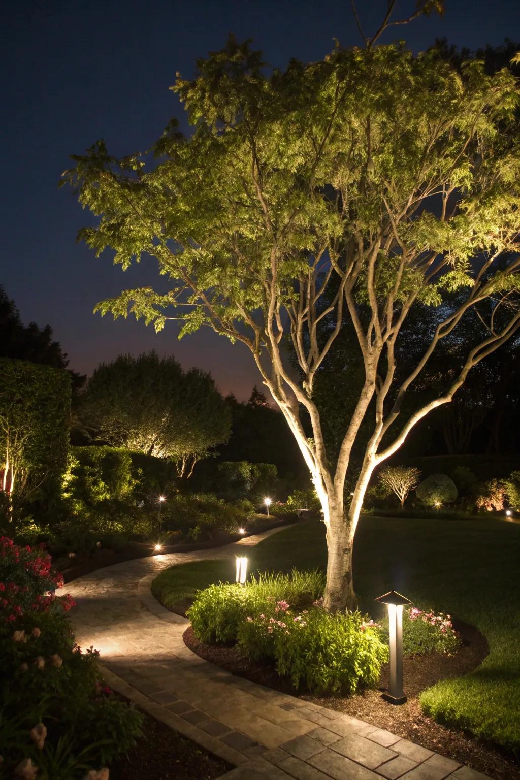 Show off your garden's beauty with solar lights.