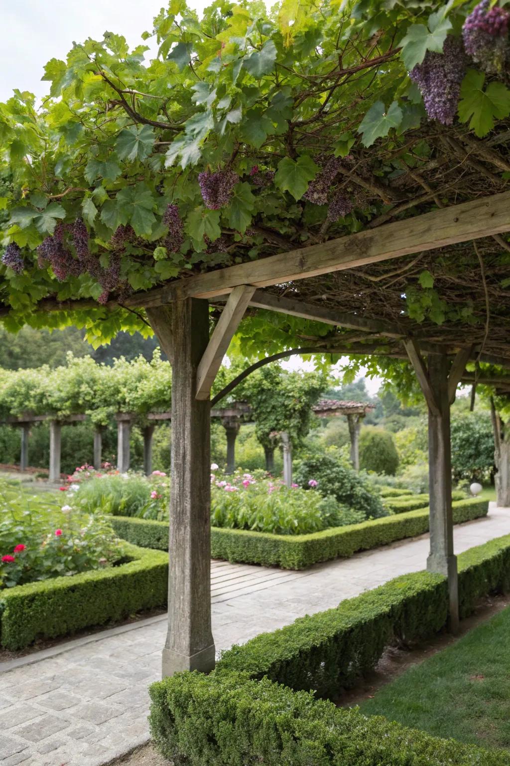 A lush green roof gateway offers natural shade and beauty.