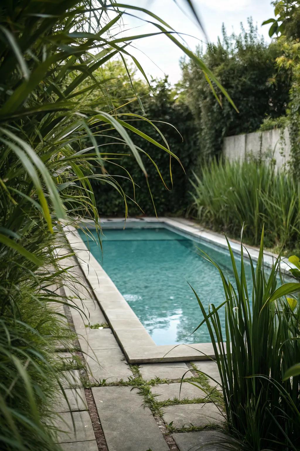 Tall greenery extends privacy and intensifies the pool's seclusion.