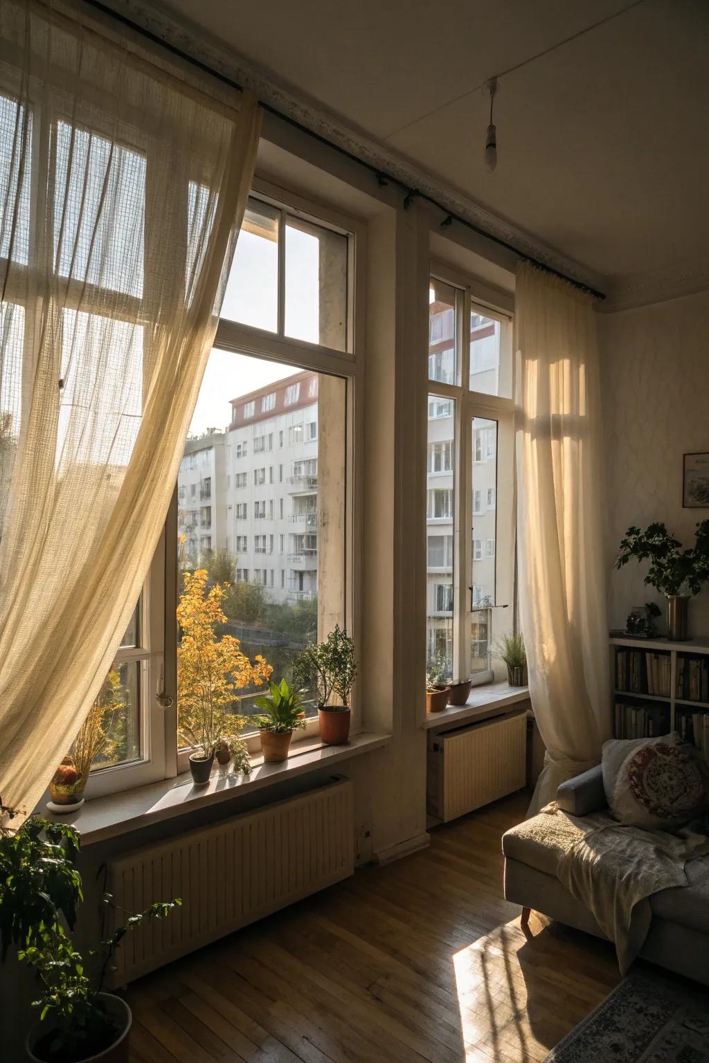Natural light has the power to make your apartment feel bigger and brighter.