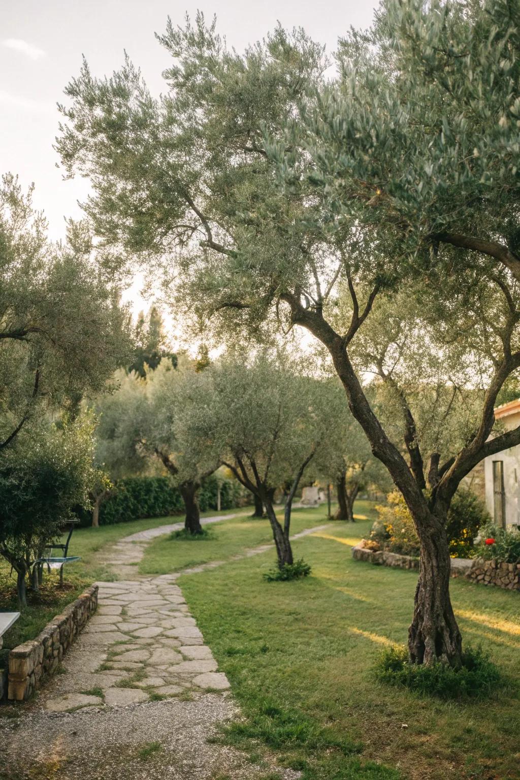 Produce a serene space using a cohesive grove of trees.