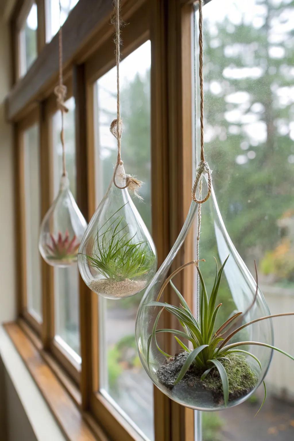 Teardrop glass hangers give rise to a delicate and ethereal display.